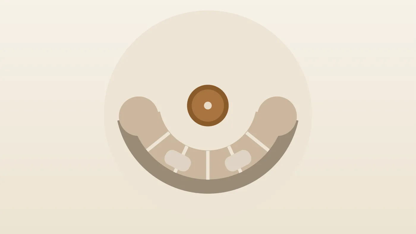 Sofás curvos e circulares: tamanhos, layouts, opções