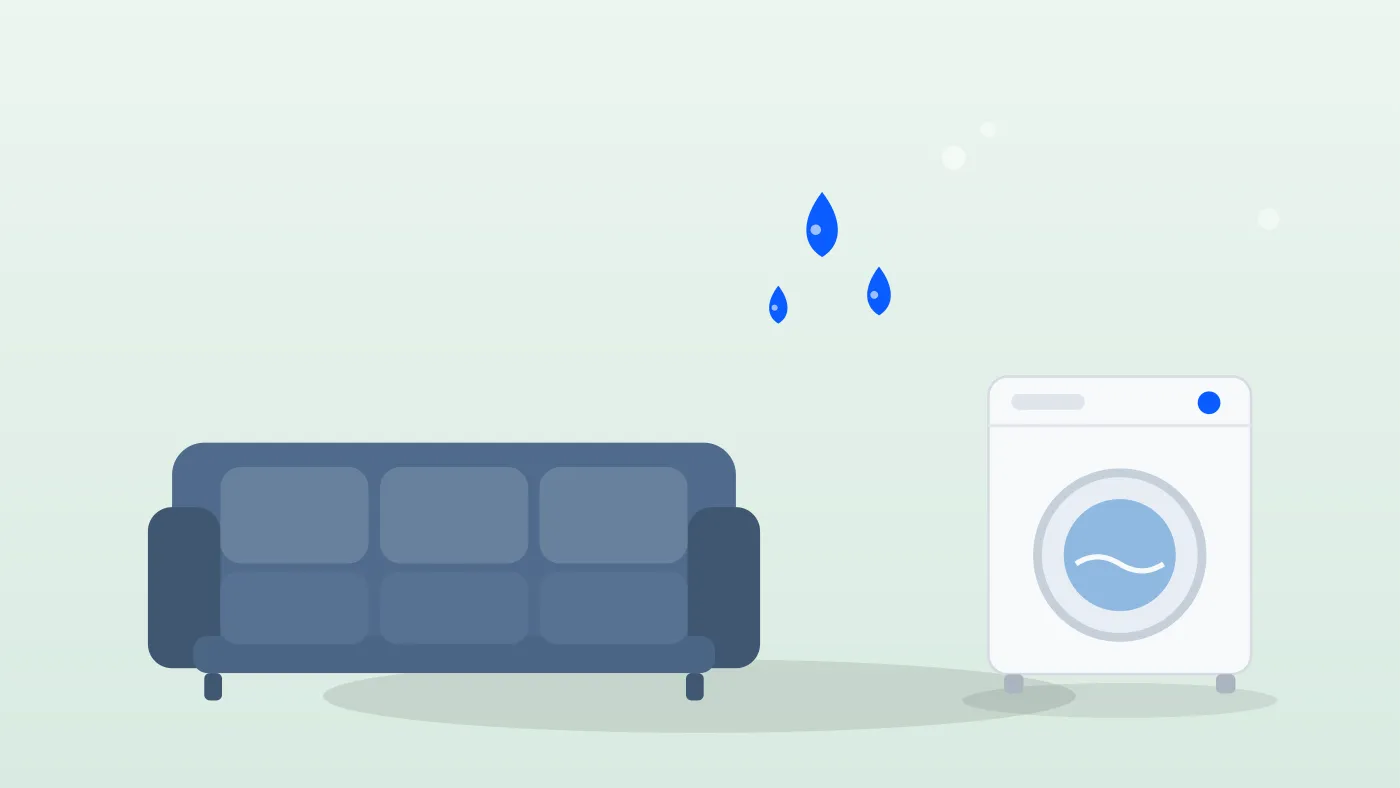 Washable Couches: Machine-Washable Sofas Ranked